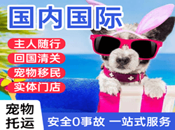 乌兰察布机场邮寄国际宠物托运 【国